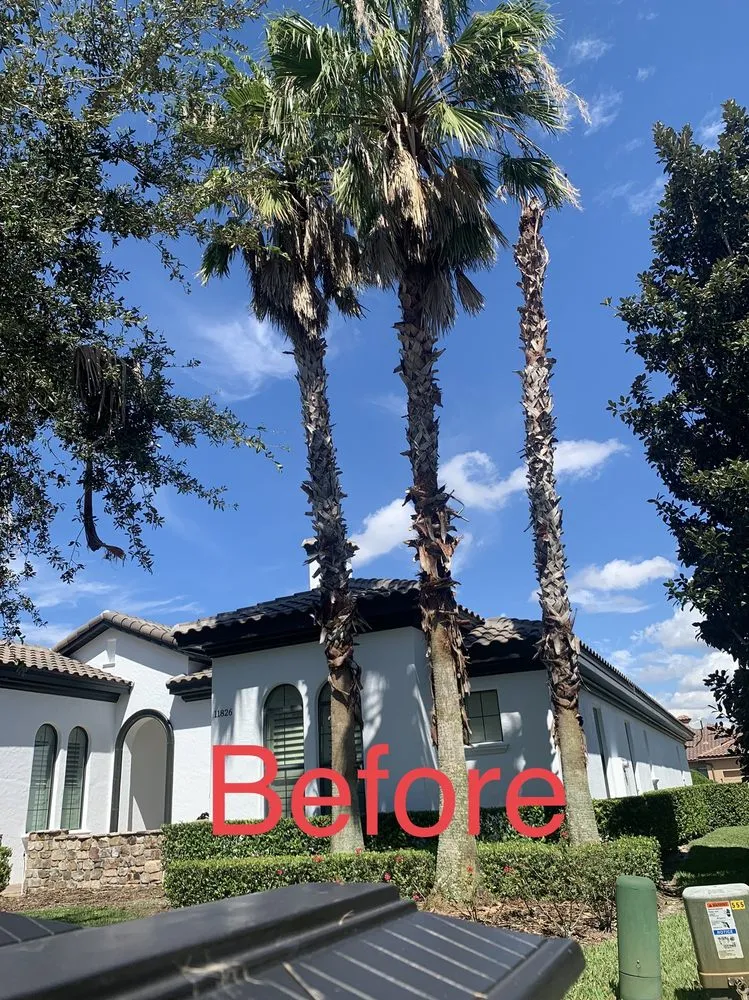 Local landscape design experts serving Orlando, FL - Tree Care Solutions MTZ