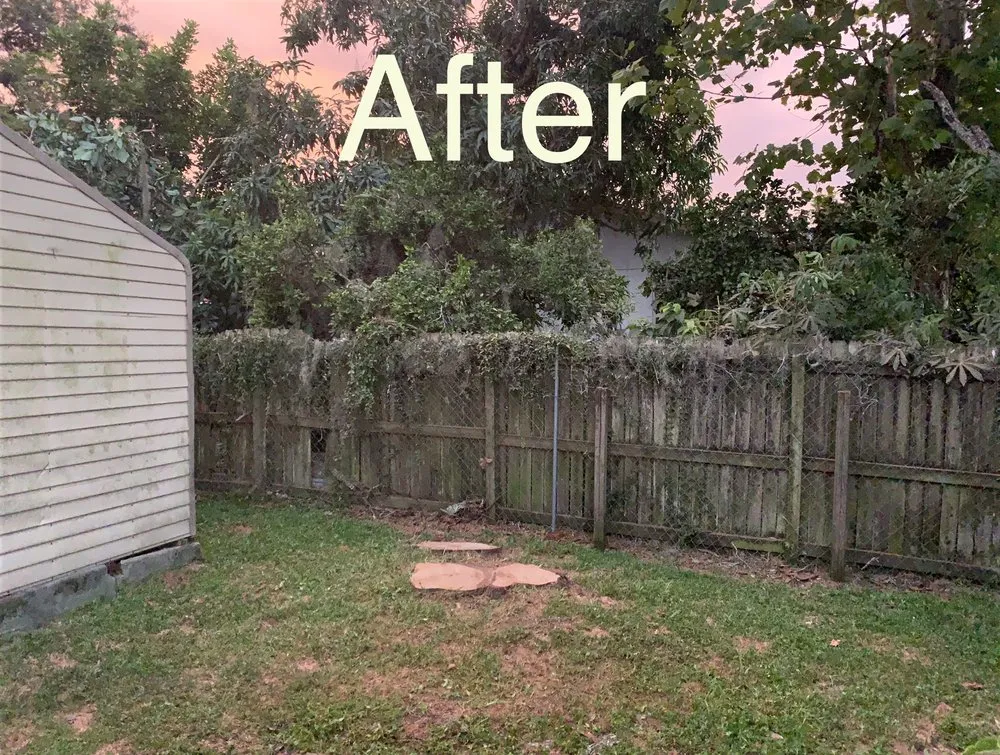 Professional lawn mowing service in Orlando, FL by Tree Care Solutions MTZ