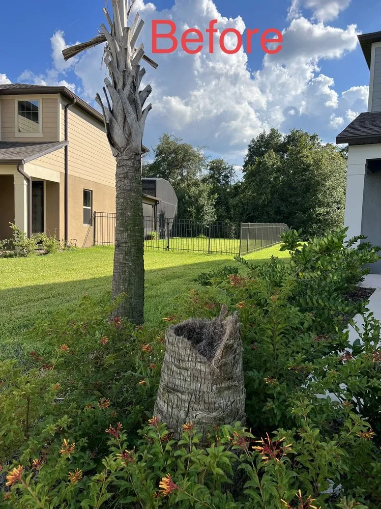 Affordable lawn mowing service for homes in Orlando, FL by Tree Care Solutions MTZ