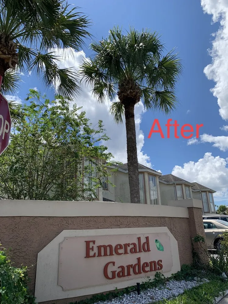 Trusted landscaping services for homes across Orlando, FL - Tree Care Solutions MTZ