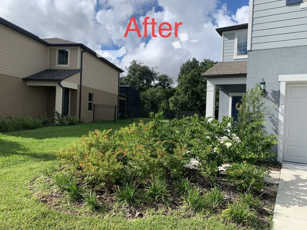 Custom landscape design in Orlando, FL by Tree Care Solutions MTZ