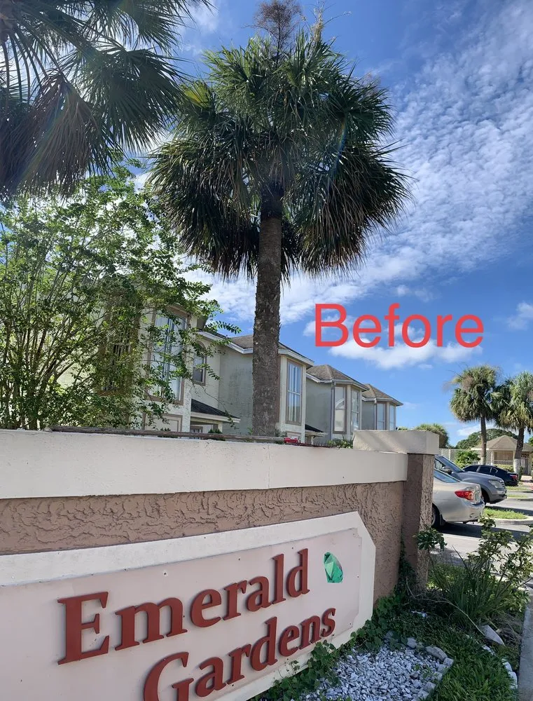 Local yard maintenance near you in Orlando, FL by Tree Care Solutions MTZ