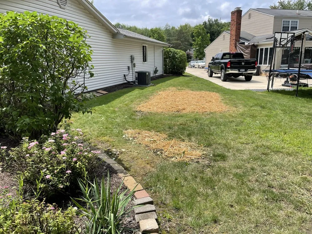 Local lawn care service in Kent, OH - Tree City Lawn & Garden