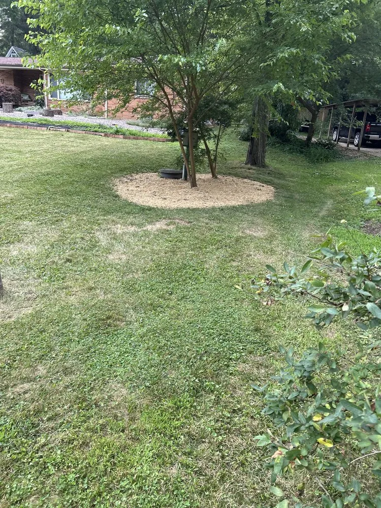 Custom garden landscaping for outdoor upgrades across Kent, OH - Tree City Lawn & Garden