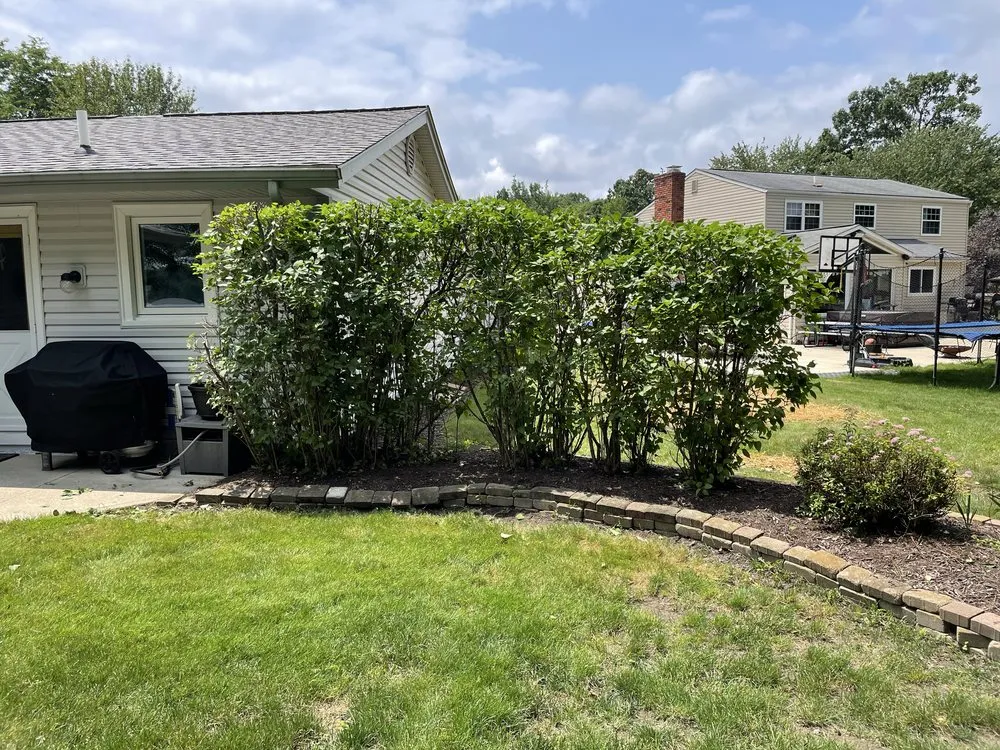 Professional yard maintenance for homes across Kent, OH - Tree City Lawn & Garden