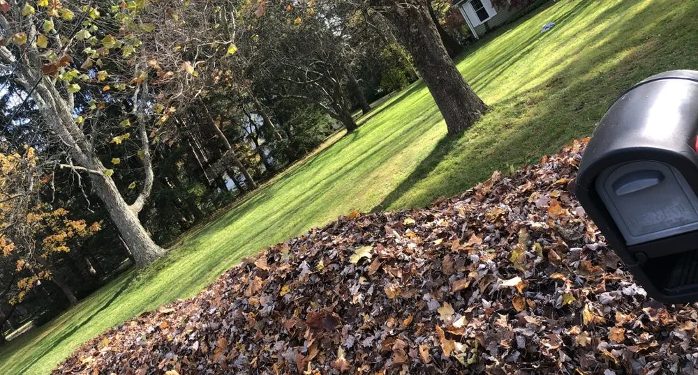 Expert lawn care service for outdoor upgrades across Kent, OH - Tree City Lawn & Garden