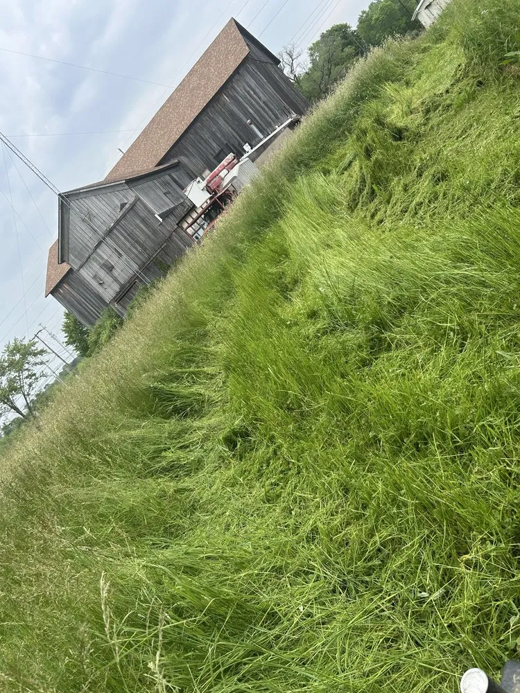 Affordable landscaping services experts serving Kent, OH - Tree City Lawn & Garden