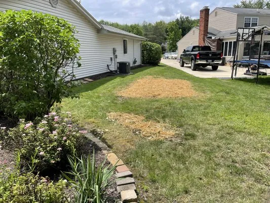 Tree City Lawn & Garden