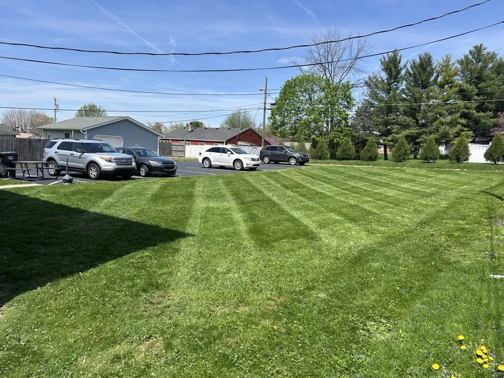 Expert yard cleanup service experts serving Greensburg, IN - Tree City Mows