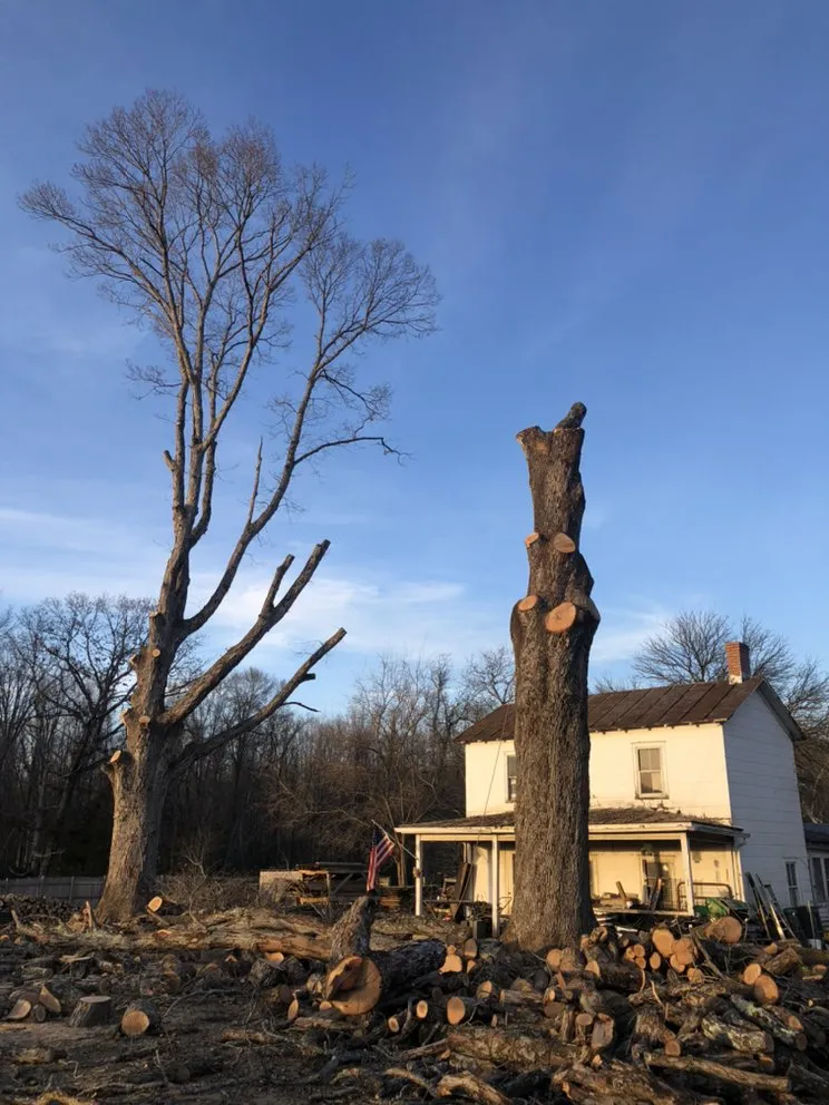 Professional garden landscaping in Fredericksburg, VA by Tree Climber Of Va & landscaping