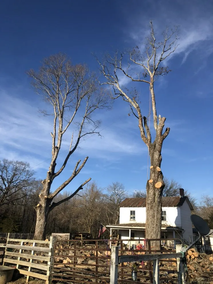 Custom garden landscaping in Fredericksburg, VA - Tree Climber Of Va & landscaping