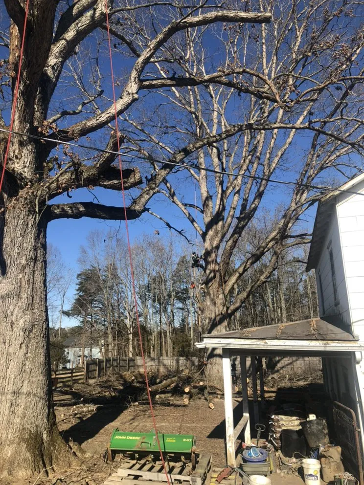 Affordable lawn mowing service experts serving Fredericksburg, VA - Tree Climber Of Va & landscaping