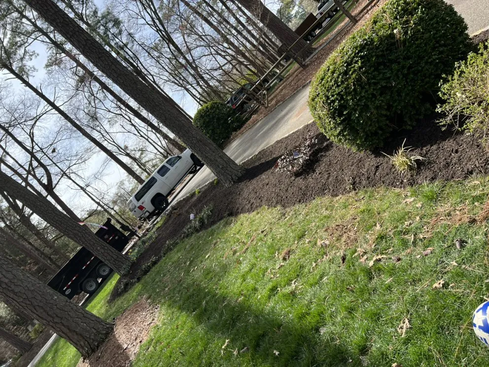 Professional landscaping services for residential properties across Fredericksburg, VA - Tree Climber Of Va & landscaping
