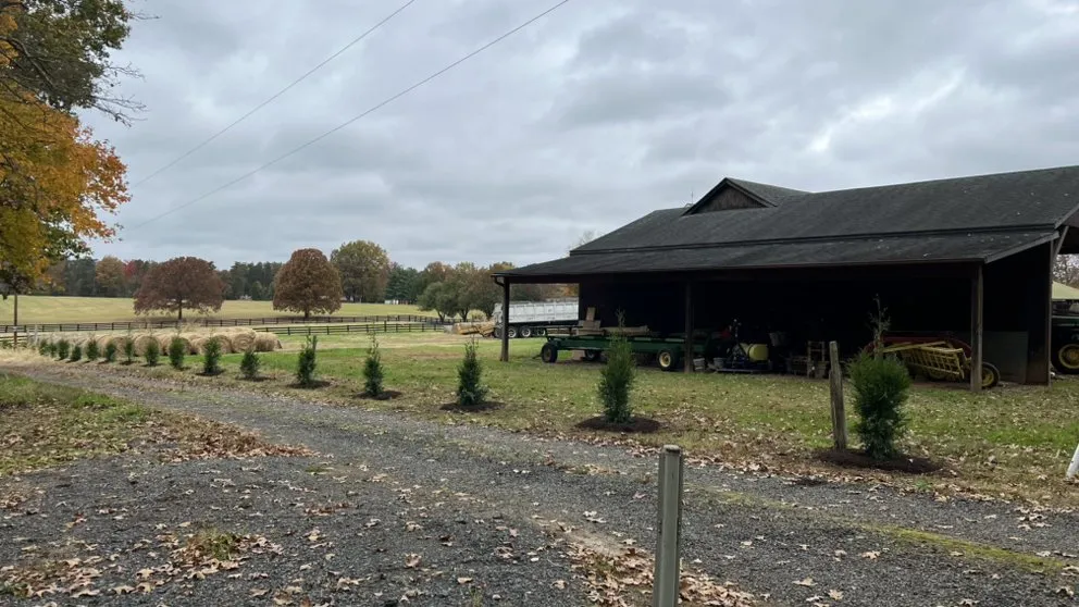 Local garden landscaping experts serving Fredericksburg, VA - Tree Climber Of Va & landscaping