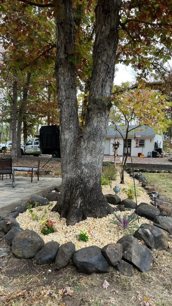 Top-rated landscape design for residential properties across Fredericksburg, VA - Tree Climber Of Va & landscaping