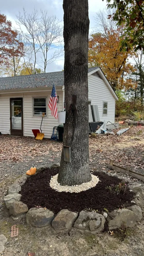 Professional lawn care service in Fredericksburg, VA by Tree Climber Of Va & landscaping