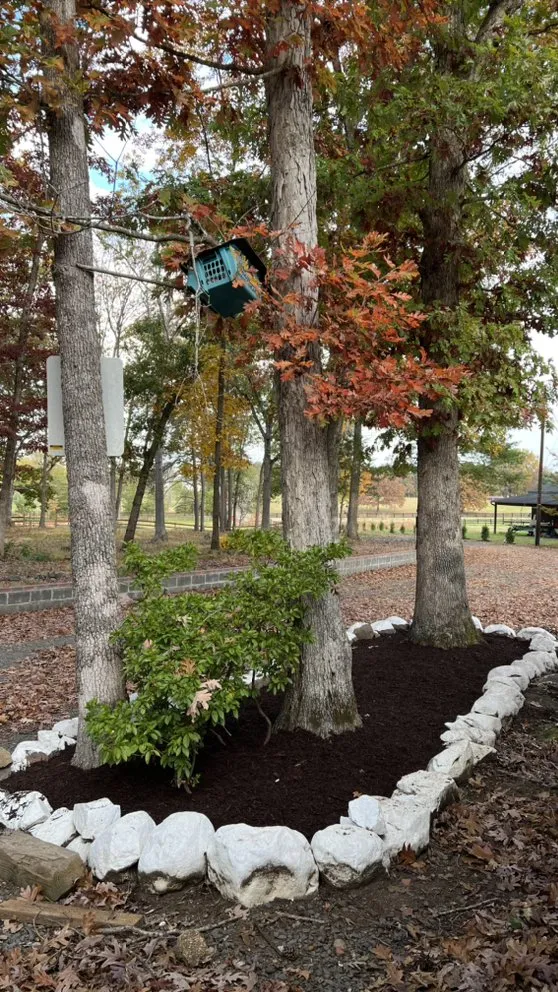 Expert yard maintenance for year-round maintenance in Fredericksburg, VA by Tree Climber Of Va & landscaping