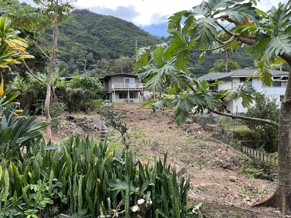 Local landscape design near you in Honolulu, HI by Tree Concepts Hawaii