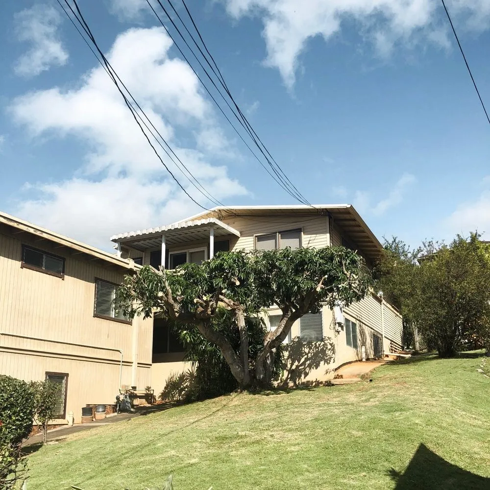 Top-rated outdoor landscaping in Honolulu, HI - Tree Concepts Hawaii