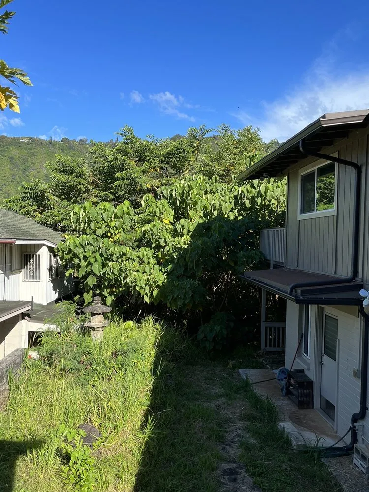 Affordable yard maintenance in Honolulu, HI by Tree Concepts Hawaii