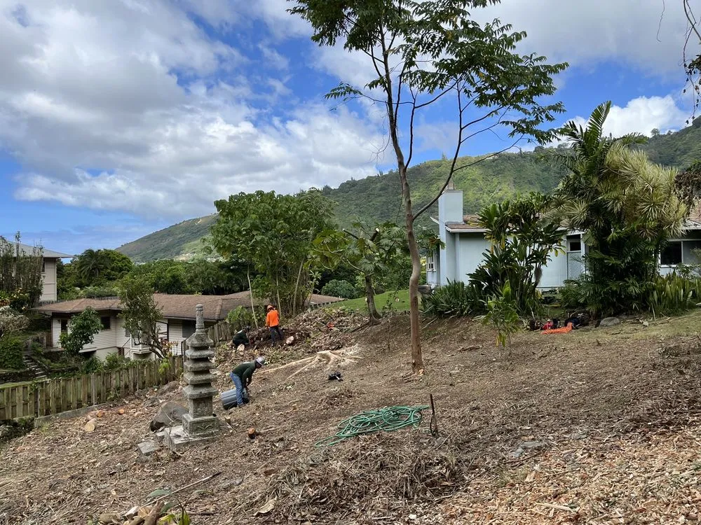 Expert outdoor landscaping in Honolulu, HI by Tree Concepts Hawaii