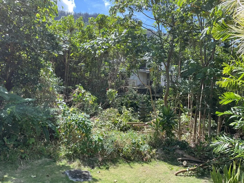 Custom yard maintenance for residential properties in Honolulu, HI by Tree Concepts Hawaii