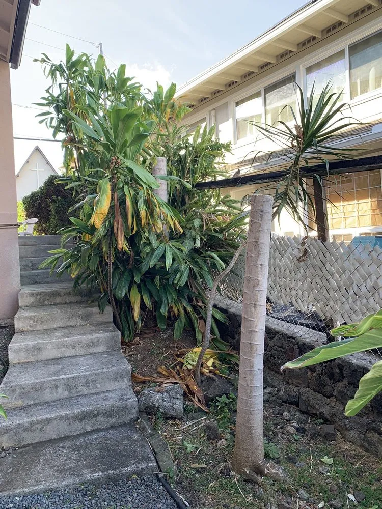 Reliable landscape installation in Honolulu, HI by Tree Concepts Hawaii