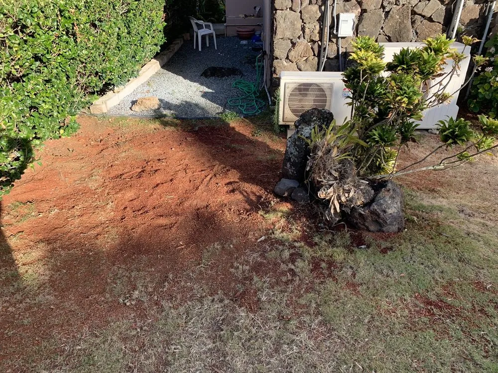 Local garden landscaping for year-round maintenance across Honolulu, HI - Tree Concepts Hawaii