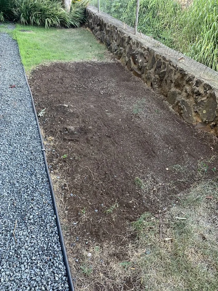 Trusted residential landscaping for homes across Honolulu, HI - Tree Concepts Hawaii