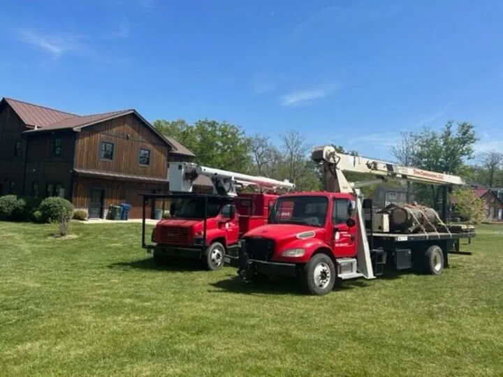 Custom yard maintenance for beautiful yards across Prospect, KY - Tree Contractors