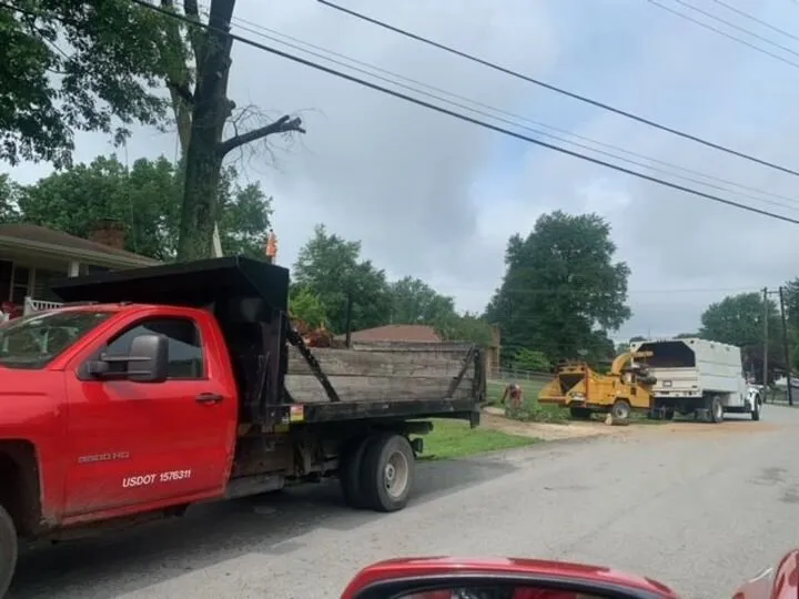 Affordable lawn care service in Prospect, KY by Tree Contractors