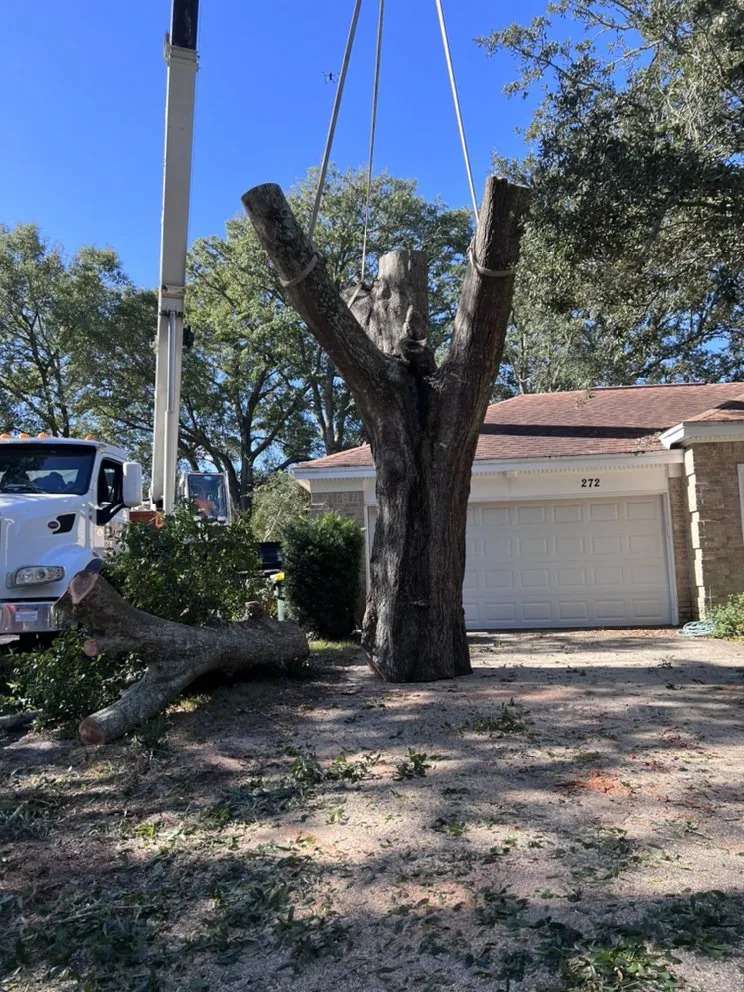 Professional landscaping services in NAVARRE, FL - Tree Cowboys & Landscaping