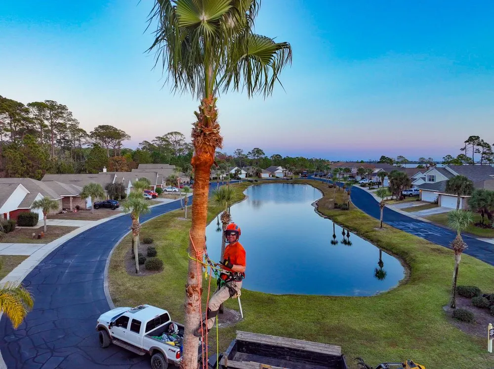 Trusted yard cleanup service experts serving NAVARRE, FL - Tree Cowboys & Landscaping