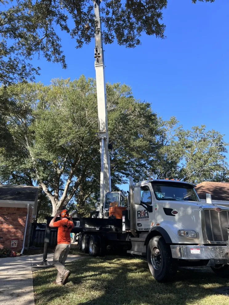Affordable outdoor landscaping in NAVARRE, FL - Tree Cowboys & Landscaping