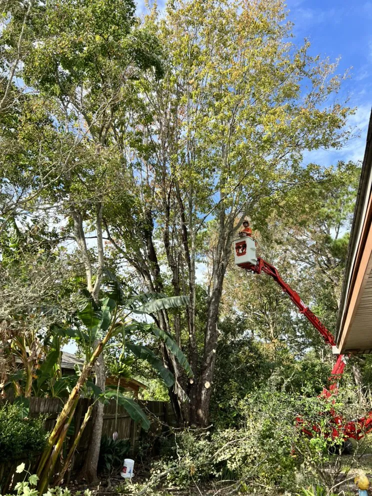Reliable residential landscaping in NAVARRE, FL - Tree Cowboys & Landscaping