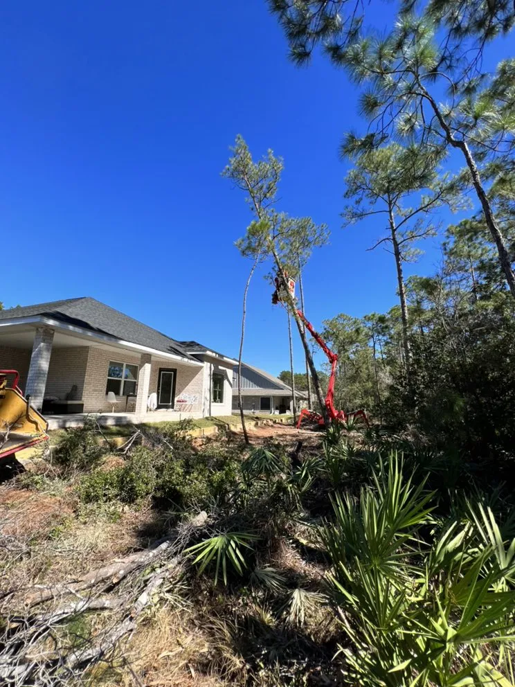 Affordable yard maintenance experts serving NAVARRE, FL - Tree Cowboys & Landscaping