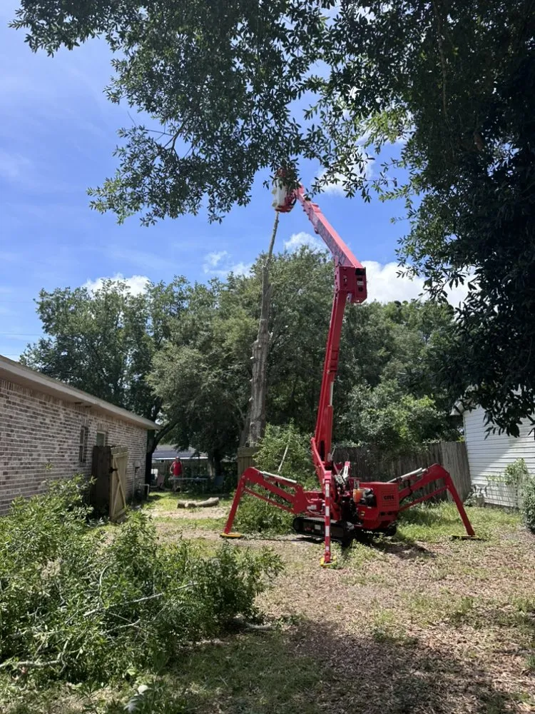 Local yard maintenance for beautiful yards across NAVARRE, FL - Tree Cowboys & Landscaping