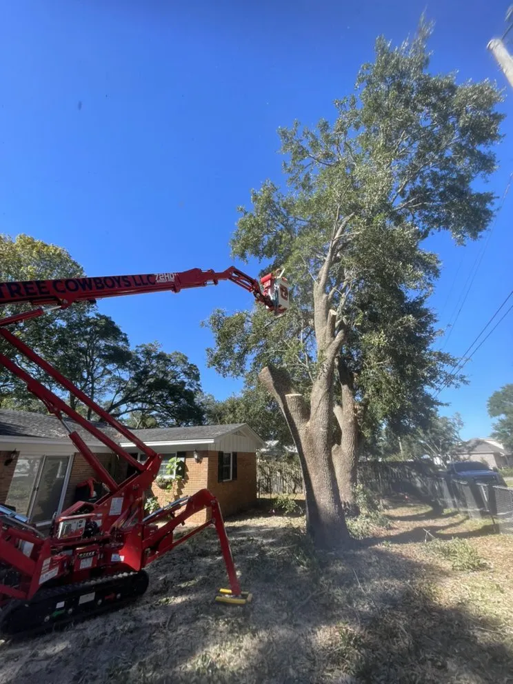 Affordable lawn mowing service in NAVARRE, FL - Tree Cowboys & Landscaping