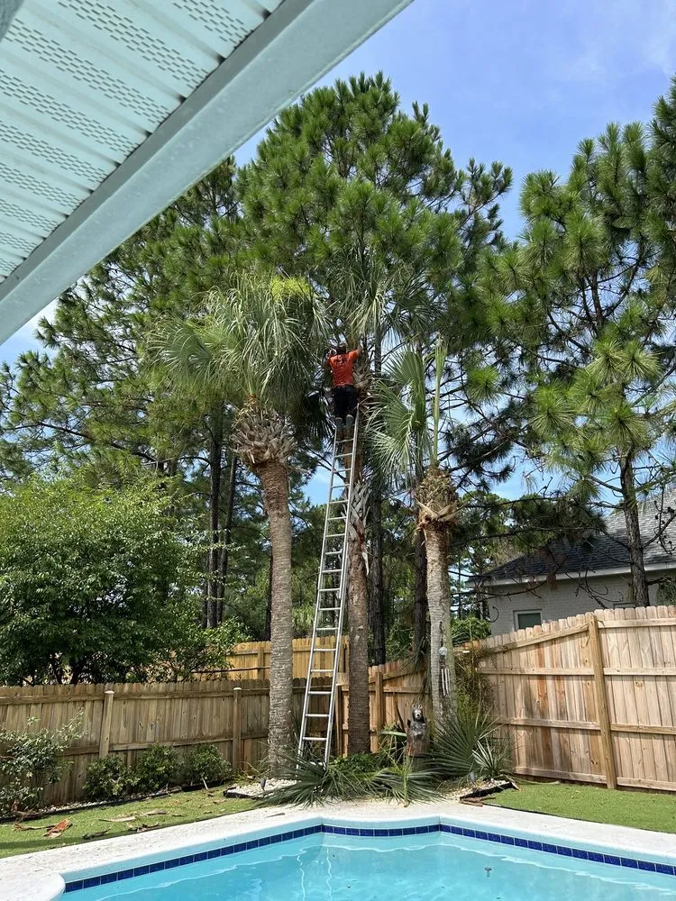 Expert yard maintenance near you across NAVARRE, FL - Tree Cowboys & Landscaping