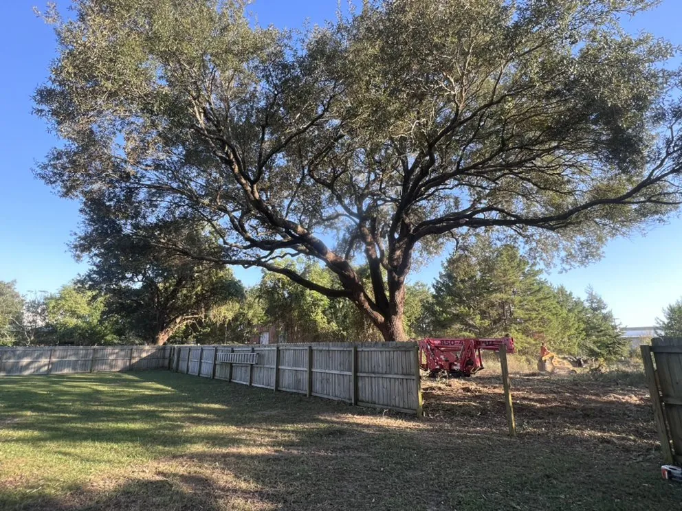 Affordable yard maintenance in NAVARRE, FL - Tree Cowboys & Landscaping
