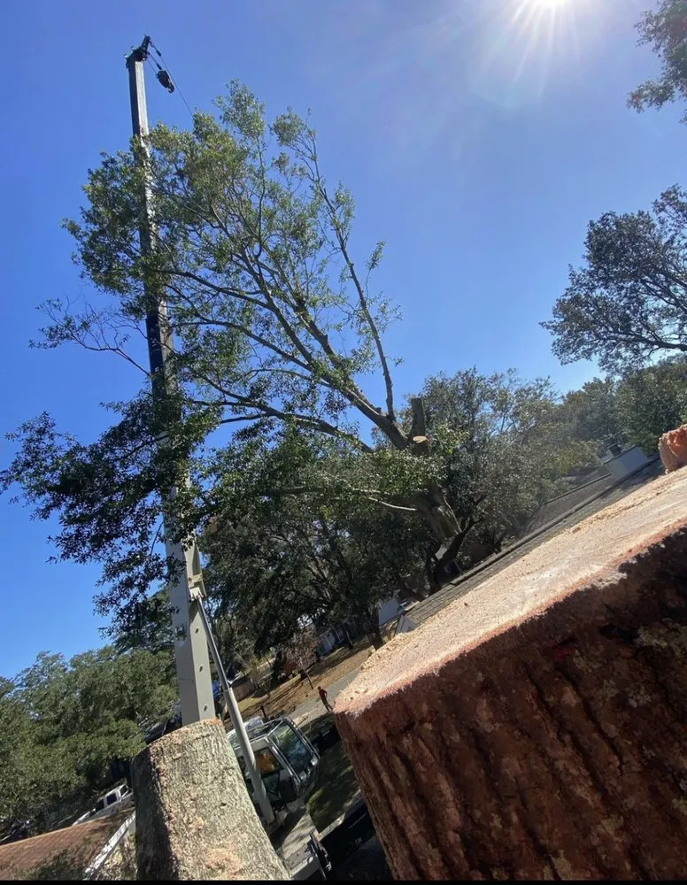 Expert lawn care service experts serving NAVARRE, FL - Tree Cowboys & Landscaping