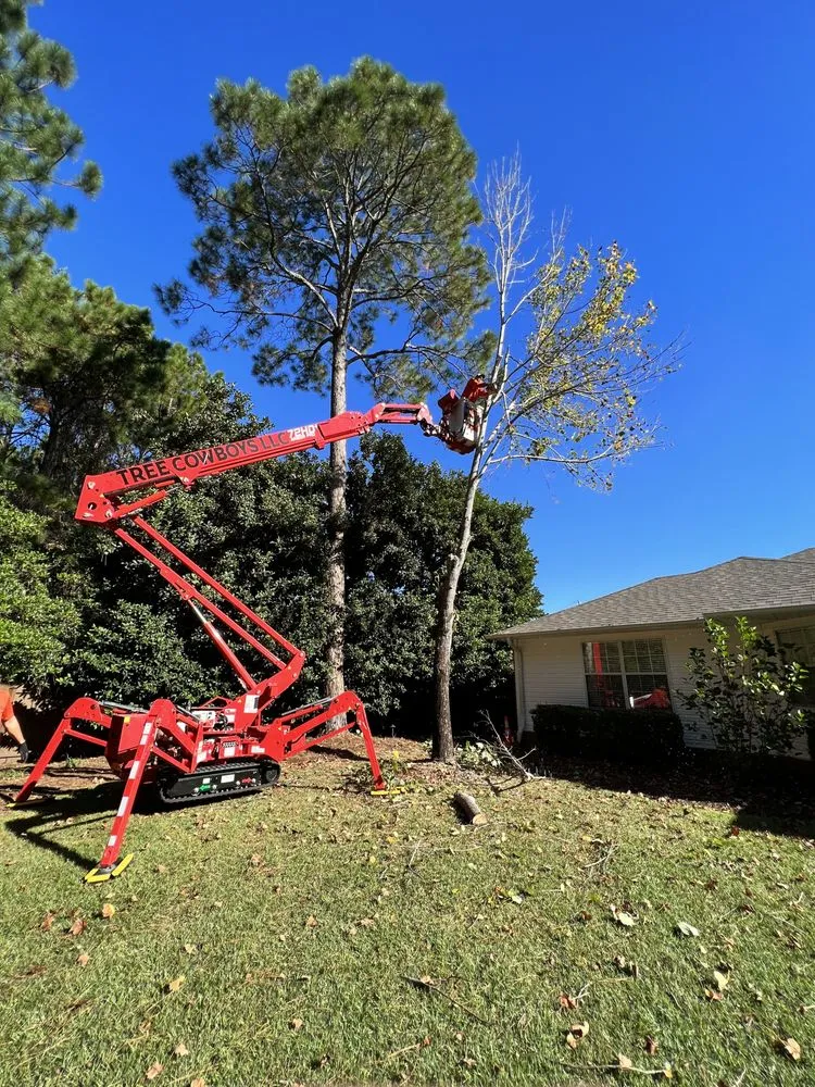 Trusted residential landscaping experts serving NAVARRE, FL - Tree Cowboys & Landscaping
