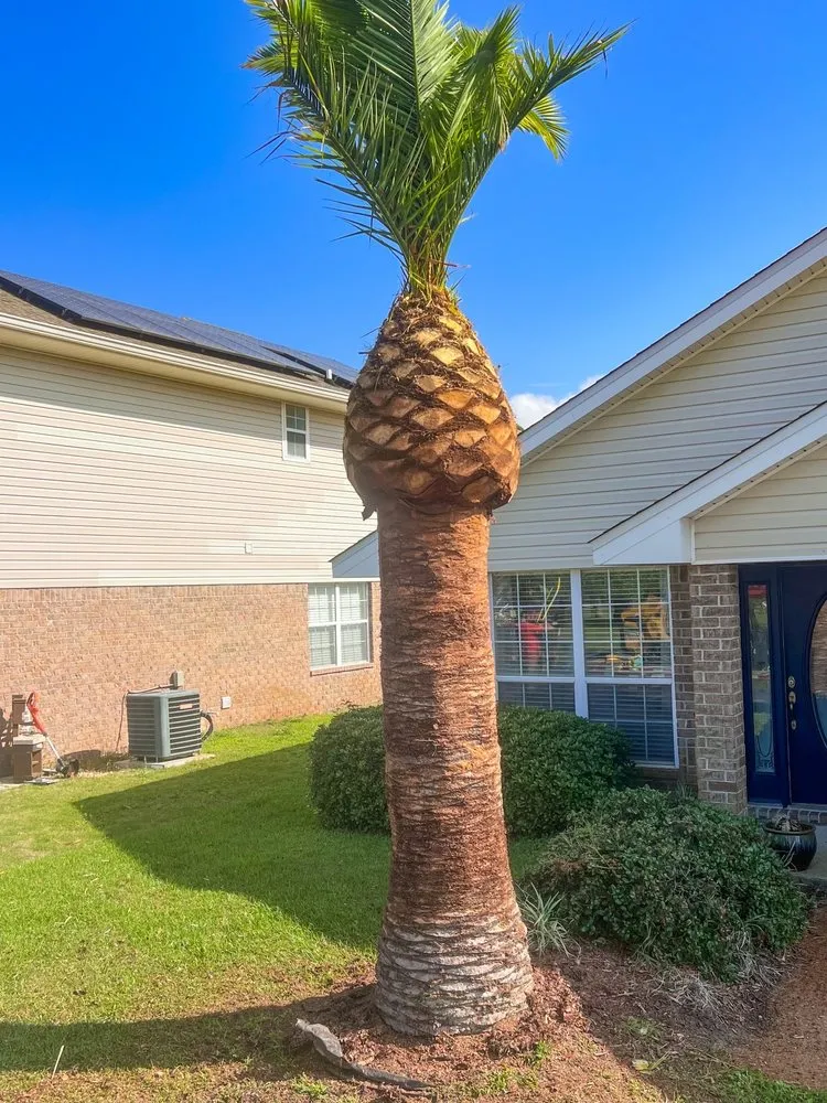 Trusted lawn mowing service with custom design across NAVARRE, FL - Tree Cowboys & Landscaping