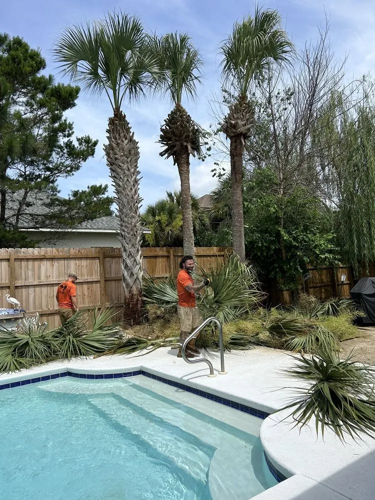 Local outdoor landscaping experts serving NAVARRE, FL - Tree Cowboys & Landscaping