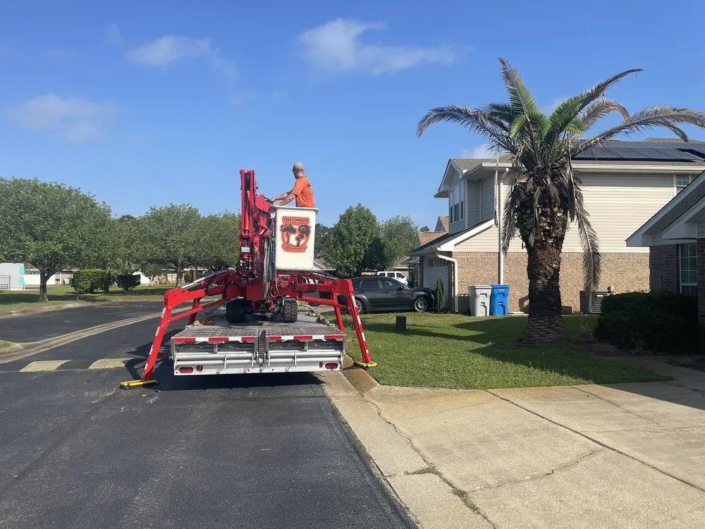 Expert outdoor landscaping experts serving NAVARRE, FL - Tree Cowboys & Landscaping