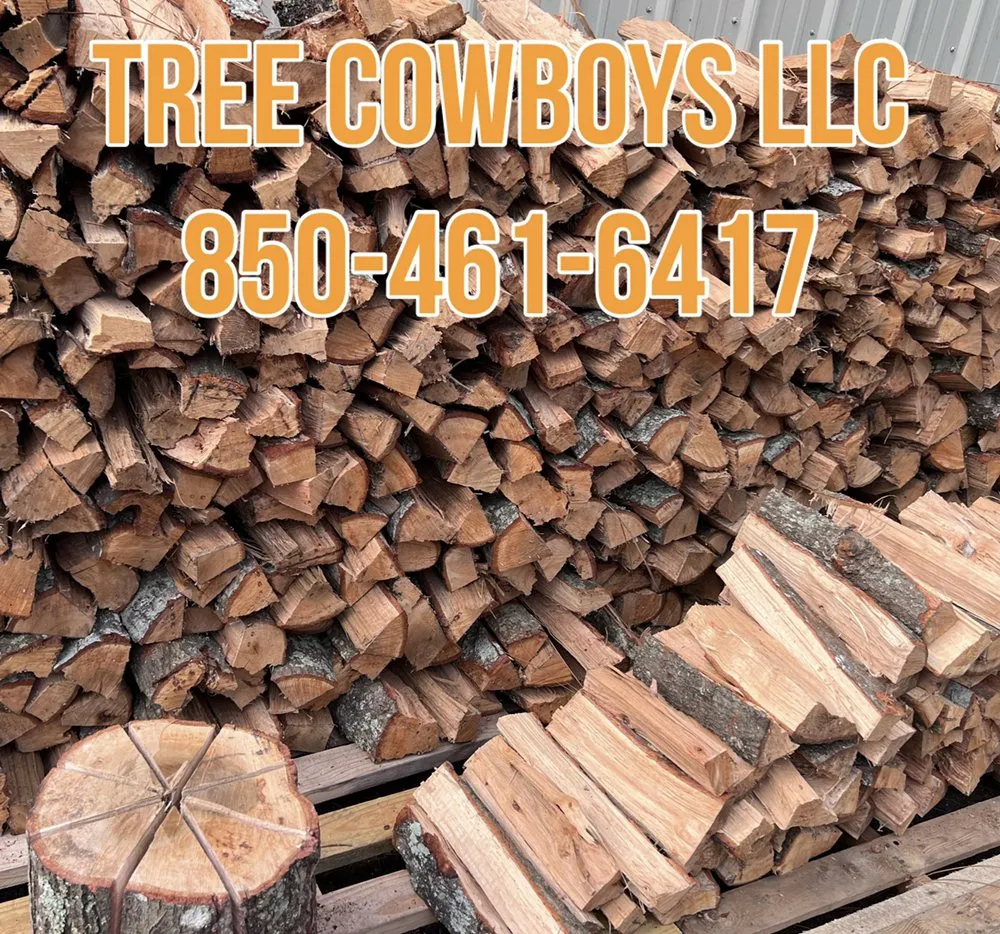 Expert yard maintenance near you across NAVARRE, FL - Tree Cowboys & Landscaping