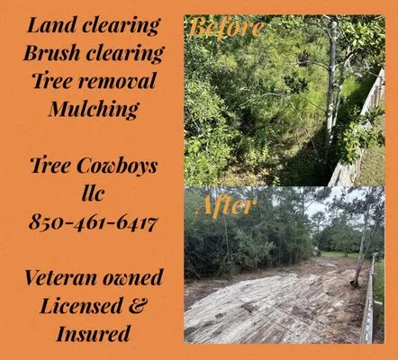 Tree Cowboys & Landscaping
