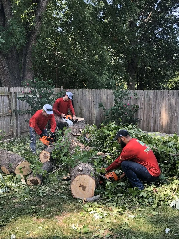 Top-rated outdoor landscaping for beautiful yards across Broken Arrow, OK - Tree Doc