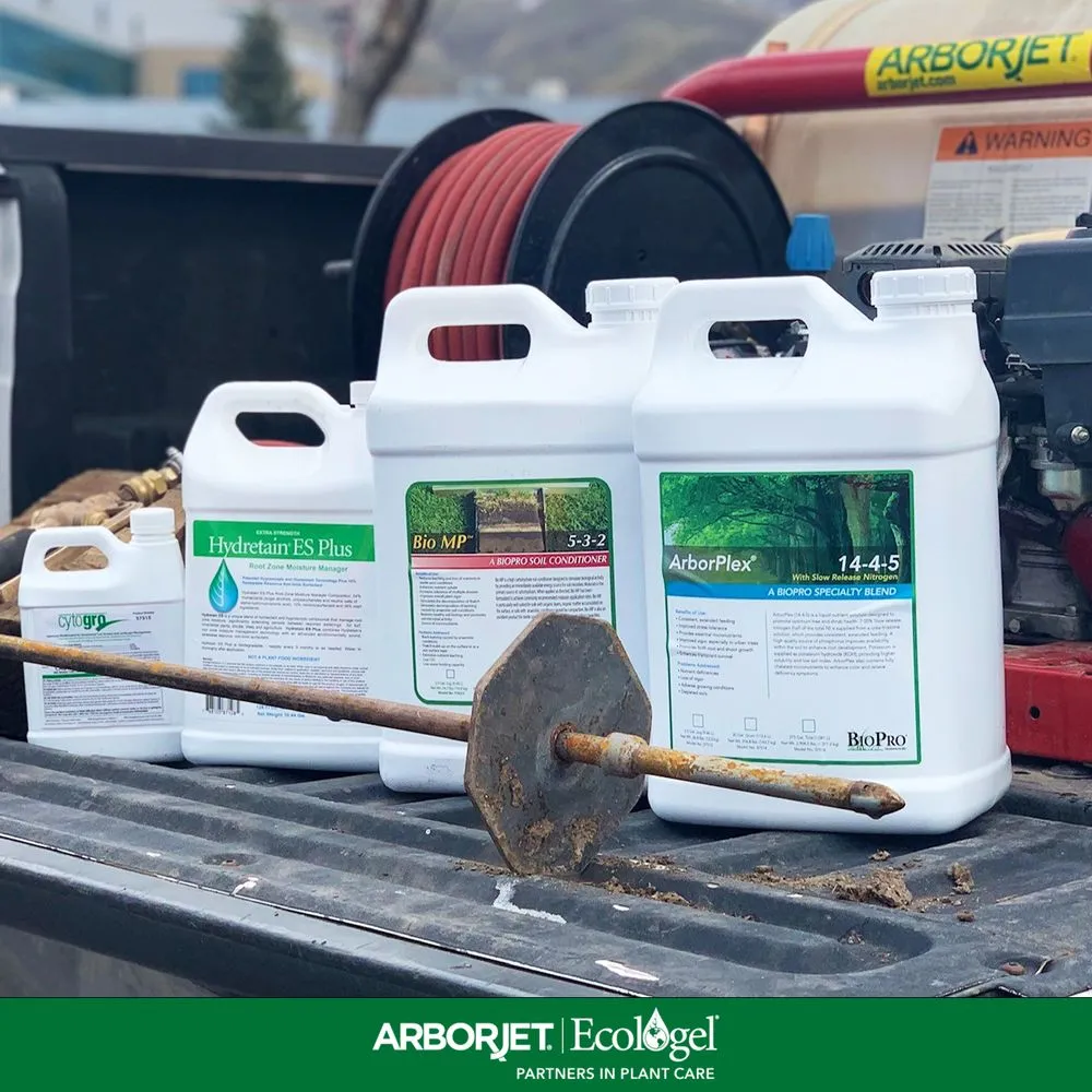 Trusted yard cleanup service experts serving Temecula, CA - Tree Doctor USA