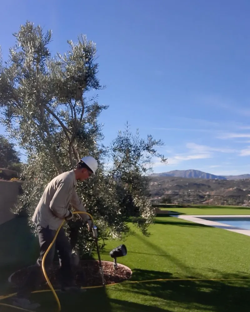 Custom landscaping services in Temecula, CA by Tree Doctor USA